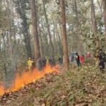 प्याराग्लाइडिङले रङ्गिँदै सुर्खेतको आकाश 