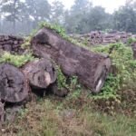 पाँच वर्षमा स्वास्थ्यमा आठ प्रतिशत बजेट पुर्याउने सरकारको प्रतिबद्धता