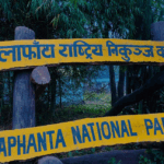 मधुवा रोगको समस्याले किसान चिन्तित