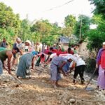 के एआईले जागिर खाइदिन्छ ?