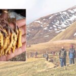 फाइभजीः डिजिटल’ अर्थतन्त्रको नयाँ आधार