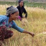 स्थान विशेष मौसम पूर्वानुमानका लागि संघीय सरकारसँग समन्वय गर्छौं : मुख्यमन्त्री आचार्य