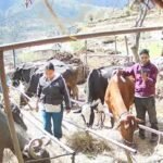 तातापानी गोल्ड कप फुटबल प्रतियोगिता हुँदै