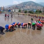 गणतन्त्र दिवसको अवसरमा लुम्बिनी प्रदेश गणतन्त्र दिवसको अवसरमा लुम्बिनी प्रदेश सरकारद्वारा प्रशासनिक केन्द्र परिसरमा सरसफाई