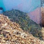 अवैध रुपमा गिट्टी बालुवा उत्खनन गर्नेलाई कारबाही गरिने