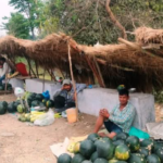 मेयरकै मिलाेमताेमा केबलकार डिपिआरकाे नाममा ५० लाख झ्वाम