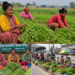 नेपालगञ्ज पूर्ण खोप सुनिश्चितता तथा दिगोपना पालिका घोषणा