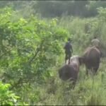 जुम्लाका २३ वडा बालविवाहमुक्त घोषणा