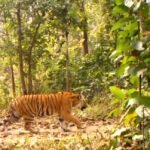 शिक्षाका लागि दैनिक जोखिमपूर्ण यात्रा, पढ्नैका लागि ढकेलाका बालबालिकाको संघर्ष