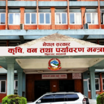 पोखरा–दुबई हवाई उडानका लागि फ्लाई दुबईले पायो अनुमति