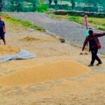 आम्दानीको प्रमुख माध्यम बङ्गुर र माछापालन
