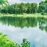 आगामी आवको बजेट सुधारको दिशामा अग्रसरः नेडेव