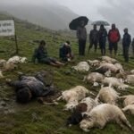 जुम्लामा चट्याङले : एकको मृत्यु, पशुधनमा क्षति