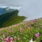 लुम्बिनी प्रदेश सरकारको अनुकरणीय कार्य:अर्घाखाँची अस्पतालमा डायलासिस सेवा सञ्चालनको अन्तिम तयारी