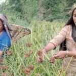 विद्युत् सेवामा ढिलासुस्ती र अव्यवस्थाप्रति सञ्चारकर्मी दीपक बुढाको खुला पत्र, सुधारको माग