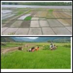 राजपुरमा ढिस्कोले पुरिएर किशोरको मृत्यु