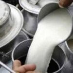 सामाजिक सुरक्षा कोषमा ३० लाख बढी योगदानकर्ता आबद्ध