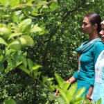 ‘बजेटमा राजनीतिक विवाद, ओझेलमा विकासको बहस’
