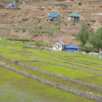 कर्णालीका ४६ स्थानीय तहमा मौसम मापन केन्द्र