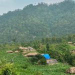 ‘विपद् रोक्न सकिँदैन, तर घटाउन सकिन्छ’