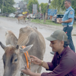 आलेखः   सर्पदंशको बढ्दो सन्त्रास