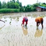 रोल्पामा पहिरोमा पुरिएर एक जनाको मृत्यु