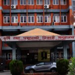कञ्चनपुरमा जापनिज इन्सेफ्लाइटिसको जोखिम कायमै