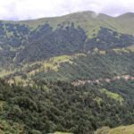 स्याउ निर्यात गर्दा स्थानीय तहको सिफारिस अनिवार्य