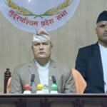 युट्युब हेरेरै व्यवसायिक कृषिमा शेर्पा