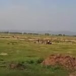 बीजक लिन–दिन आन्तरिक राजस्व विभागको आग्रह