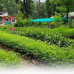 नेपालको आर्थिक रूपान्तरणमा निजी क्षेत्र र संयुक्त राष्ट्रसङ्घबीच सहकार्यमा जोड