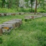 घुयँत्राे:माडसापलाई नयाँ सरकारको माया कि पुरानो सरकारको रिस?