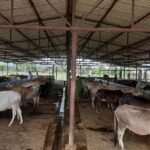 नेपाल–चीन सहकार्यको केन्द्रमा जलवायु र पर्यावरण