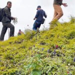 दुई महिनामा दुई खर्ब हाराहारी बजेट खर्च सरकारको आम्दानी भन्दा खर्च नौ अर्बले बढी