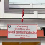 थारू बस्तीमा हुर्डुङग्वा नाचको रौनक