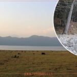 दशैँ–तिहारले चम्कायो कुमाल समुदायको परम्परागत पेसा माटाका दियो बनाउन भ्याइनभ्याई