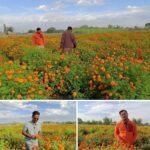 हिमाली सङ्कट समाधानका लागि नेपालका चार प्रस्ताव, ५३ देशको समर्थन