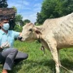 सल्यानमा जिप दुर्घटना हुँदा ३ जनाको मृत्यु, ७ जना घाइते