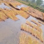 कृषि मौसम सल्लाहसम्बन्धी कार्यविधि बनाउनुपर्नेमा जोड