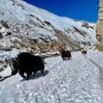 जाजरकोट–काठमाडौं अत्याधुनिक रात्रिबस सेवा सुरु