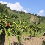सचिव बढुवाका लागि चक्र बुढाको एकल नाम सिफारिस